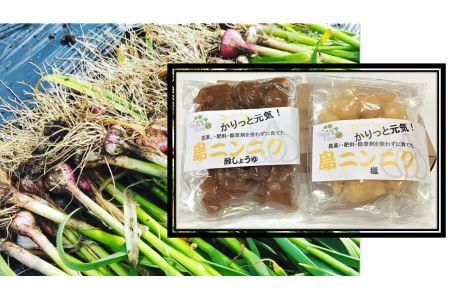 かりっと元気！島ニンニク 塩漬・酢しょうゆ漬 (各1袋) にんにく おつまみ 世界遺産登録記念 奄美大島 宇検村 鹿児島