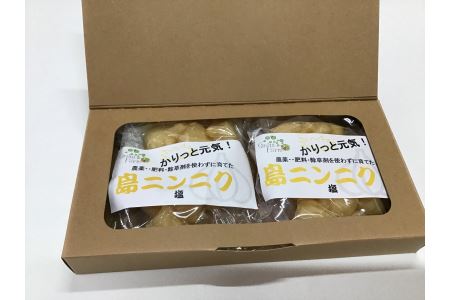 【ふるさと納税】世界遺産登録記念　かりっと元気！島ニンニク　塩漬×２個・鹿児島県宇検村