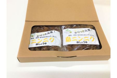 かりっと元気！島ニンニク 酢しょうゆ漬 (2袋) にんにく おつまみ  世界遺産登録記念  奄美大島 宇検村 鹿児島