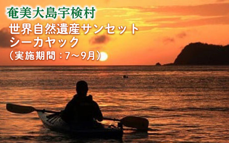 《体験》サンセット シーカヤック レジャー 旅行 観光 体験 自然 海 夕日 奄美大島 宇検村 鹿児島