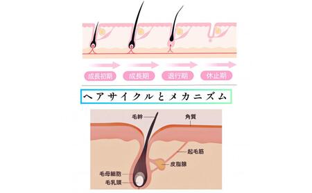 ihap scalp care lotion 200ml