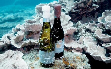 tlass SEA CELLAR -2024 1st Edition- 海底熟成白ワイン 750ml×1本【白ワイン 奄美大島 瀬戸内町】