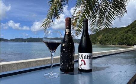 tlass SEA CELLAR -2024 1st Edition- 海底熟成赤ワイン 750ml×1本【赤ワイン 】