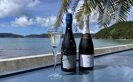 tlass SEA CELLAR -2024 1st Edition- 海底熟成スパークリングワイン 750ml×1本【スパークリングワイン 奄美大島】
