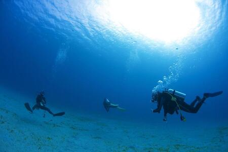 透明度抜群！　奄美大島でボートダイビング（１ボート）