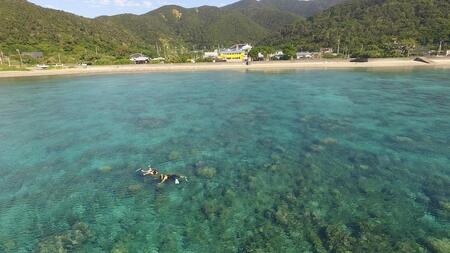 綺麗な海でのんびり。シュノーケリングレンタル