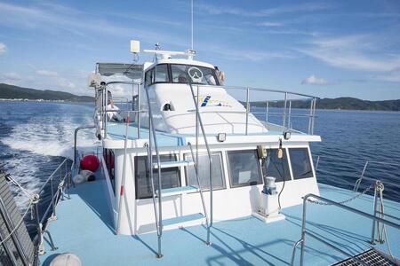 絶景遊覧！奄美大島ディクルージング（2時間）