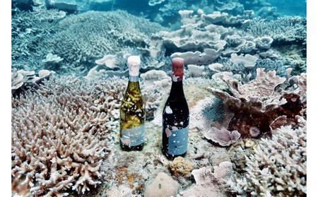 tlass SEA CELLAR -2025 2nd Edition- 海底熟成赤ワイン 750ml×1本