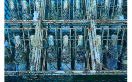 tlass SEA CELLAR -2025 2nd Edition- 海底熟成赤ワイン 750ml×1本