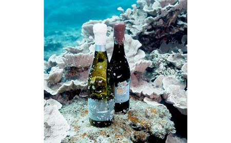 tlass SEA CELLAR -2024 1st Edition- 海底熟成前後飲み比べ赤ワイン 750ml×2本