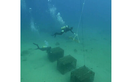 tlass SEA CELLAR -2024 1st Edition- 海底熟成前後飲み比べ赤ワイン 750ml×2本