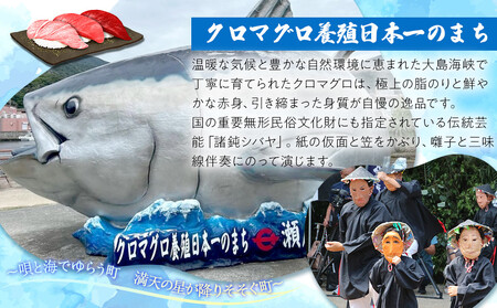 お刺身用『きび酢タレ』3本 さとうきび酢使用 マグロ・カツオ・タイにも◎