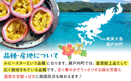 【2026年発送】《皇室献上品産地のパッションフルーツ》奄美大島瀬戸内町産 大玉12個入り/約1kg/希少な南国フルーツ/農園オリジナル化粧箱入り