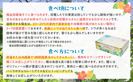 【2026年発送】《皇室献上品産地のパッションフルーツ》奄美大島瀬戸内町産 大玉12個入り/約1kg/希少な南国フルーツ/農園オリジナル化粧箱入り
