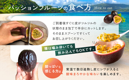 【先行予約】産地直送!パッションフルーツ秀品12個入り|パッションフルーツ 果物 くだもの