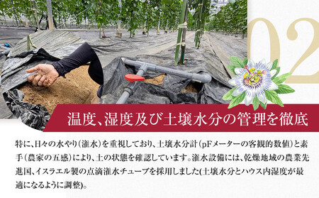 2026年先行受付【農薬・除草剤不使用】奄美大島産樹上完熟パッションフルーツ約1kg|パッションフルーツ