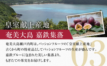 2026年先行受付【農薬・除草剤不使用】奄美大島産樹上完熟パッションフルーツ約1kg|パッションフルーツ