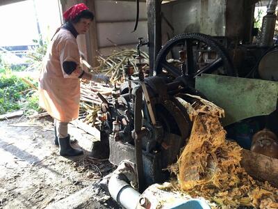 『真きび酢』小サイズ 3本（さとうきびの天然醸造酢）奄美 加計呂麻島