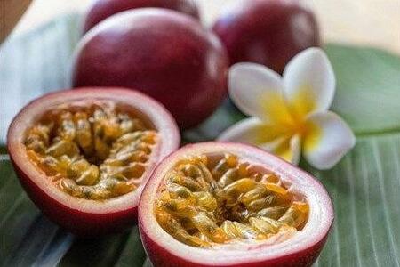 【先行受付】奄美大島産 パッションフルーツ ご家庭用 1.2kg（13～16個入り）＜ながむら農園＞|パッションフルーツ