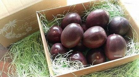 【先行受付】奄美大島産 パッションフルーツ ご家庭用 1.2kg（13～16個入り）＜ながむら農園＞|パッションフルーツ