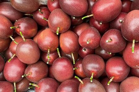 【2026年発送 先行受付】パッションフルーツ バラ詰め 約2kg【武富農園】