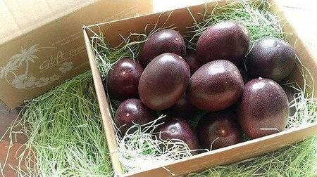 【先行受付】奄美大島産 パッションフルーツ ご家庭用3kg（32～35個入）|パッションフルーツ
