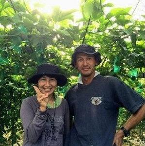 【先行受付】奄美大島産 パッションフルーツ ご家庭用3kg（32～35個入）|パッションフルーツ