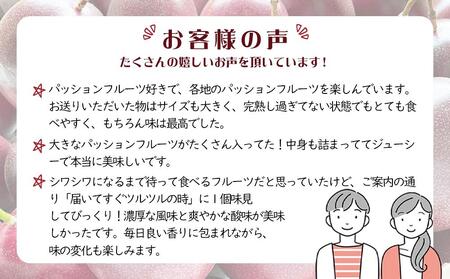 【先行受付】奄美大島 パッションフルーツ 3kg箱（M～2L/約35個）バラ【きゃしなふ農園】【パッションフルーツ パッションフルーツ パッションフルーツ パッションフルーツ パッションフルーツ】