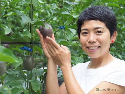 【先行受付】奄美大島 パッションフルーツ 3kg箱（M～2L/約35個）バラ【きゃしなふ農園】【パッションフルーツ パッションフルーツ パッションフルーツ パッションフルーツ パッションフルーツ】