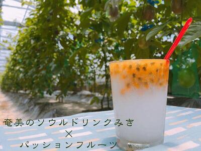 【先行受付】奄美大島 パッションフルーツ 3kg箱（M～2L/約35個）バラ【きゃしなふ農園】【パッションフルーツ パッションフルーツ パッションフルーツ パッションフルーツ パッションフルーツ】