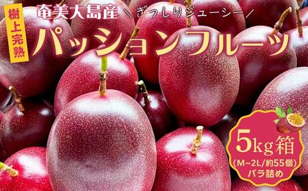 【先行受付】奄美大島 パッションフルーツ 5kg箱（M～2L/約55個）バラ【きゃしなふ農園】【パッションフルーツ パッションフルーツ パッションフルーツ パッションフルーツ パッションフルーツ】