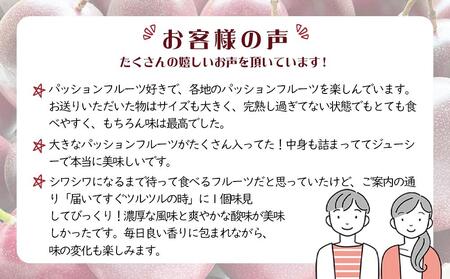 【先行受付】奄美大島 パッションフルーツ 5kg箱（M～2L/約55個）バラ【きゃしなふ農園】【パッションフルーツ パッションフルーツ パッションフルーツ パッションフルーツ パッションフルーツ】