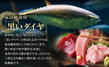 鹿児島県奄美大島産高級食材『黒いダイヤ』黒マグロ　Dセット