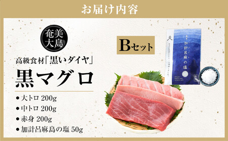 鹿児島県奄美大島産高級食材『黒いダイヤ』黒マグロ Bセット