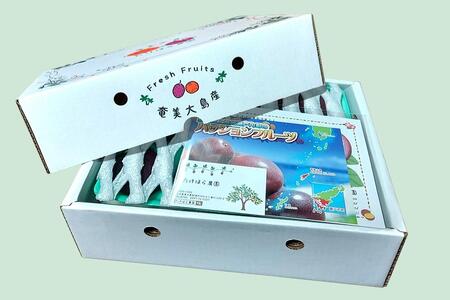 【2026年発送分 先行受付】パッションフルーツ 化粧箱15個入り(M玉)【たけはら農園】パッションフルーツ 果物 くだもの