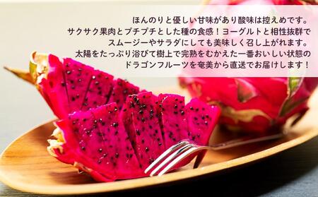 奄美産 食べごろ樹上完熟『赤蜜ドラゴンフルーツ』約2kg（4〜8玉）【先行予約　7月~10月発送】