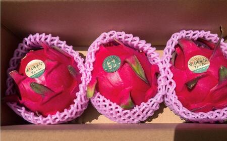 奄美産 食べごろ樹上完熟『赤蜜ドラゴンフルーツ』1kg×2箱セット 【先行予約　7月~10月発送】