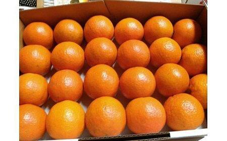 【2026年発送 先行予約】武富農園の奄美たんかん 9kg（3kg×3箱）|たんかん 果物 くだもの フルーツ