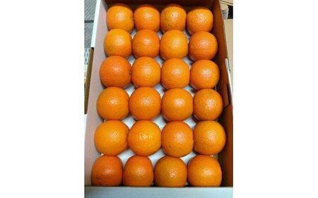 【2026年発送 先行予約】武富農園の奄美たんかん 9kg（3kg×3箱）|たんかん 果物 くだもの フルーツ