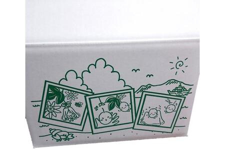 【2026年発送分 先行受付】パッションフルーツ バラ詰め4.5kg【たけはら農園】