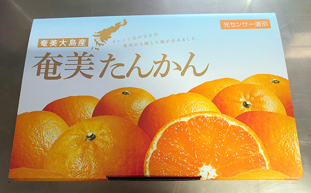 2025年発送【糖度11度以上】JAあまみ「秀品」たんかん 約3kg 鹿児島県 奄美群島 奄美大島 龍郷町 国産 奄美産 青果 果物 くだもの フルーツ 柑橘 かんきつ みかん オレンジ ジューシー 光センサー選果 お取り寄せ 先行予約 期間限定 数量限定