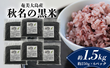 【奄美大島産】龍郷町・秋名の黒米 約1.5kg（約250g×6パック） 鹿児島県 奄美群島 奄美大島 龍郷町 国産 奄美産 お米 雑穀 古代米 長寿米 農家直送 小分け お取り寄せ 期間限定 数量限定