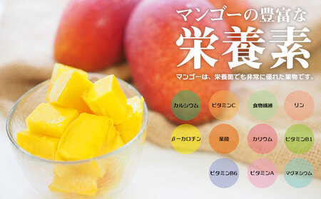 南国奄美の秀品アップルマンゴー 1kg【2024年発送】