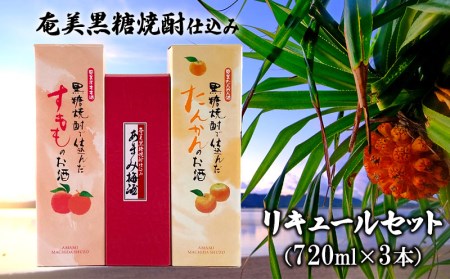 奄美黒糖焼酎仕込み　リキュールセット（720ml×3本） 鹿児島県 奄美群島 奄美大島 龍郷町 国産 奄美産 お酒 アルコール リキュール 果実酒 黒糖焼酎仕込み すもも 梅 たんかん 晩酌 お取り寄せ 町田酒造 奄美大島酒造 里の曙 浜千鳥乃詩