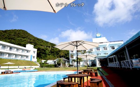 【奄美大島：龍郷町】しろくまツアーで利用可能なWEB旅行クーポン（50000円分）