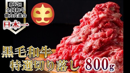 【うしの中山】 黒毛和牛 切り落とし 800g(日付指定不可)