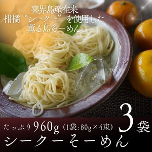 【喜界島在来柑橘を使用した】シークーそーめん 3袋 計960g
