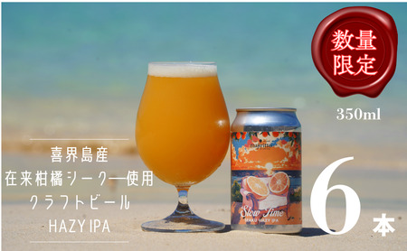 クラフトビールSlow Time 6本 5.5% 350ml