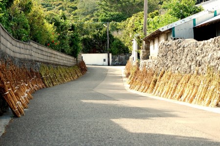 白ごまセット　ゴマ/胡麻 