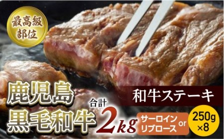 【最高級部位】鹿児島黒毛和牛ステーキ　250ｇ×8　合計２Kg　(サーロインorリブロース)【尾崎牧場】
